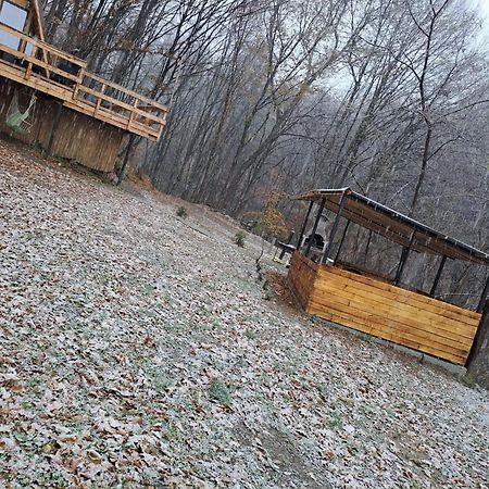 Cabanaaframe Intreaga Proprietate Curtea de Argeş Dış mekan fotoğraf