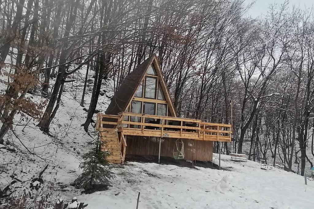 Cabanaaframe Intreaga Proprietate Curtea de Argeş Dış mekan fotoğraf