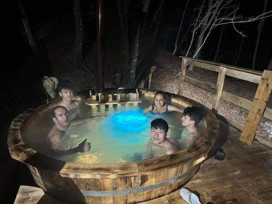 Cabanaaframe Intreaga Proprietate Curtea de Argeş Dış mekan fotoğraf