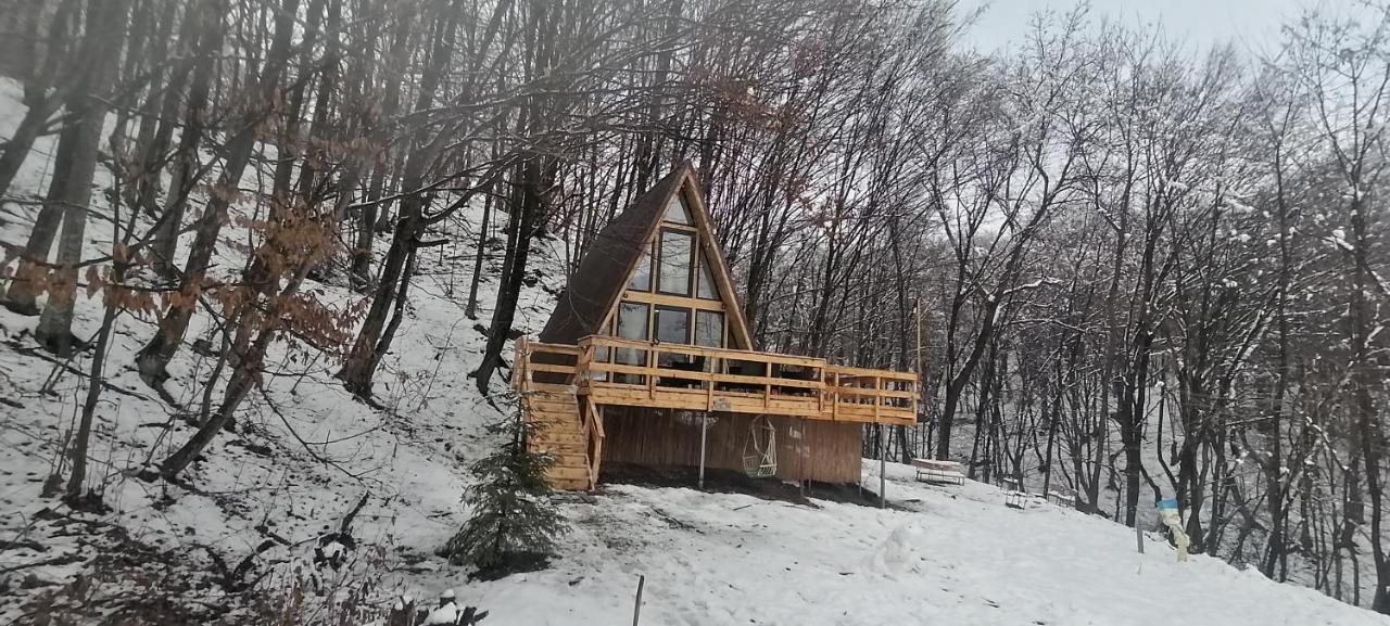 Cabanaaframe Intreaga Proprietate Curtea de Argeş Dış mekan fotoğraf