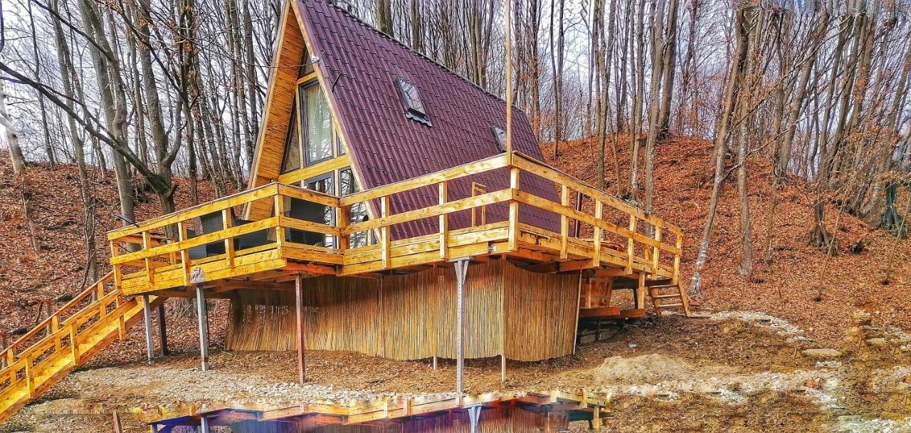 Cabanaaframe Intreaga Proprietate Curtea de Argeş Dış mekan fotoğraf