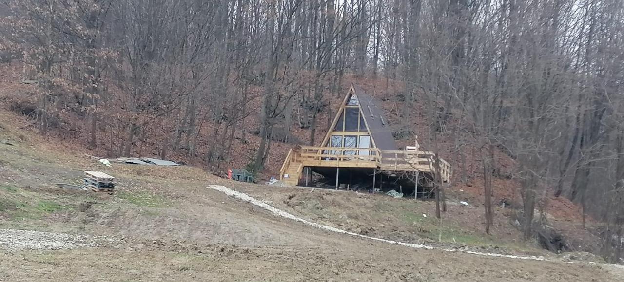 Cabanaaframe Intreaga Proprietate Curtea de Argeş Dış mekan fotoğraf
