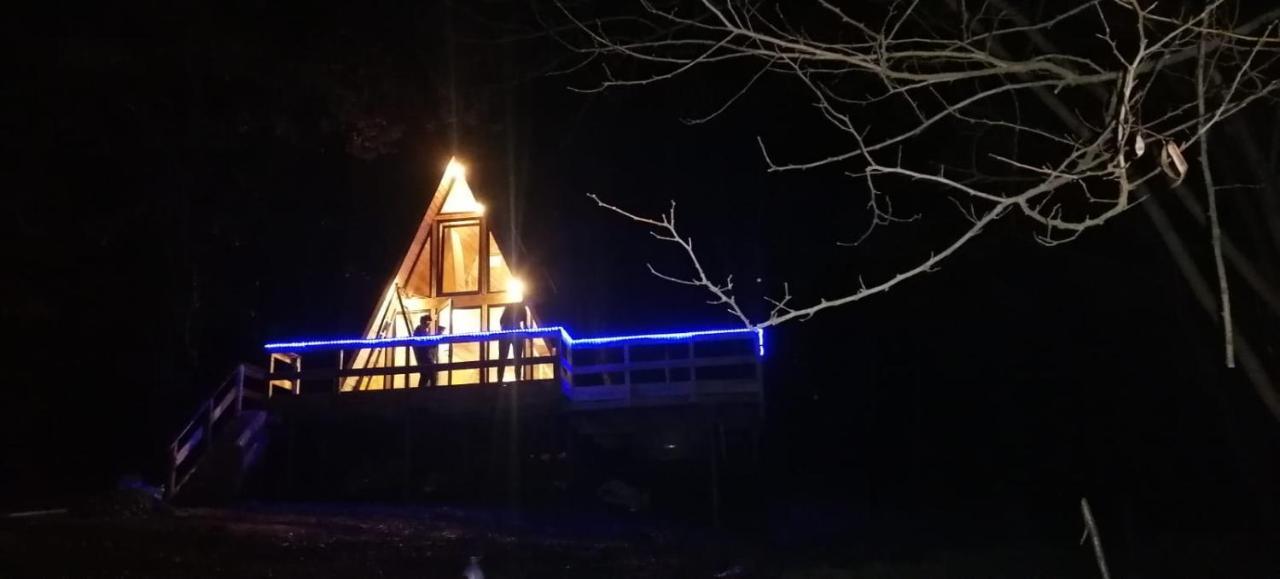 Cabanaaframe Intreaga Proprietate Curtea de Argeş Dış mekan fotoğraf