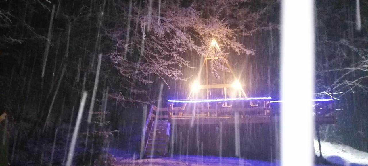 Cabanaaframe Intreaga Proprietate Curtea de Argeş Dış mekan fotoğraf