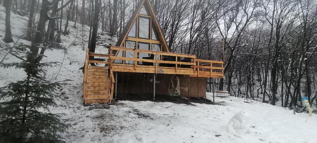 Cabanaaframe Intreaga Proprietate Curtea de Argeş Dış mekan fotoğraf
