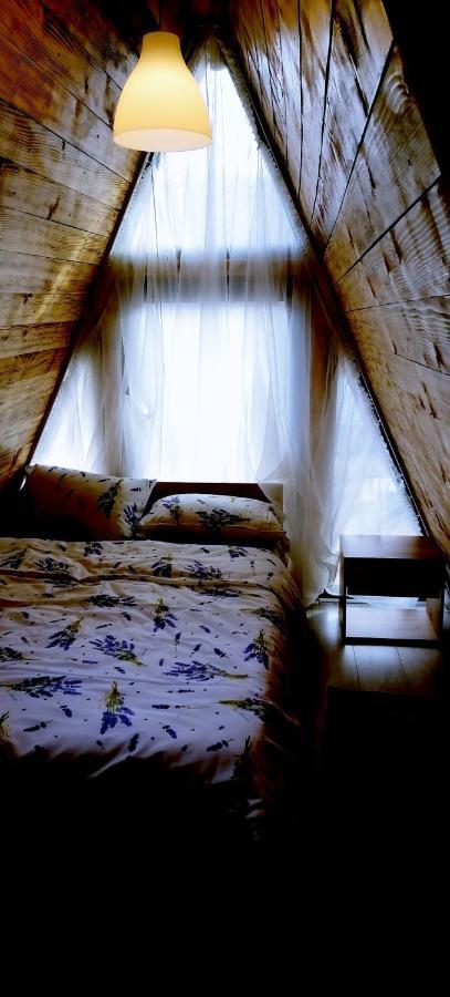Cabanaaframe Intreaga Proprietate Curtea de Argeş Dış mekan fotoğraf
