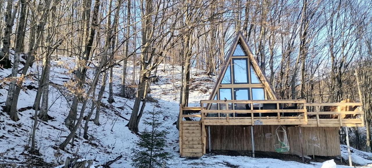 Cabanaaframe Intreaga Proprietate Curtea de Argeş Dış mekan fotoğraf