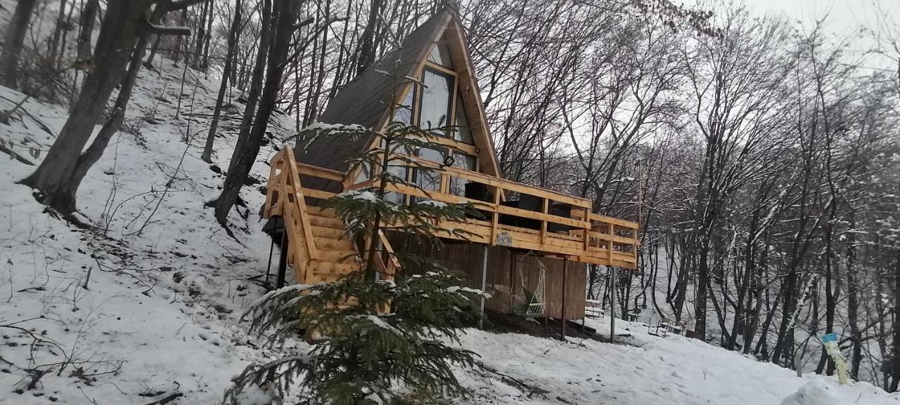 Cabanaaframe Intreaga Proprietate Curtea de Argeş Dış mekan fotoğraf