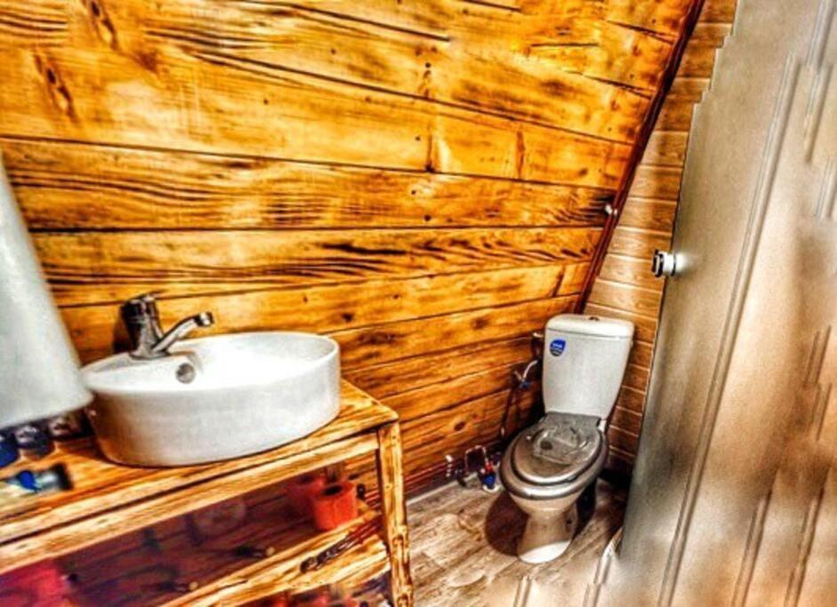 Cabanaaframe Intreaga Proprietate Curtea de Argeş Dış mekan fotoğraf
