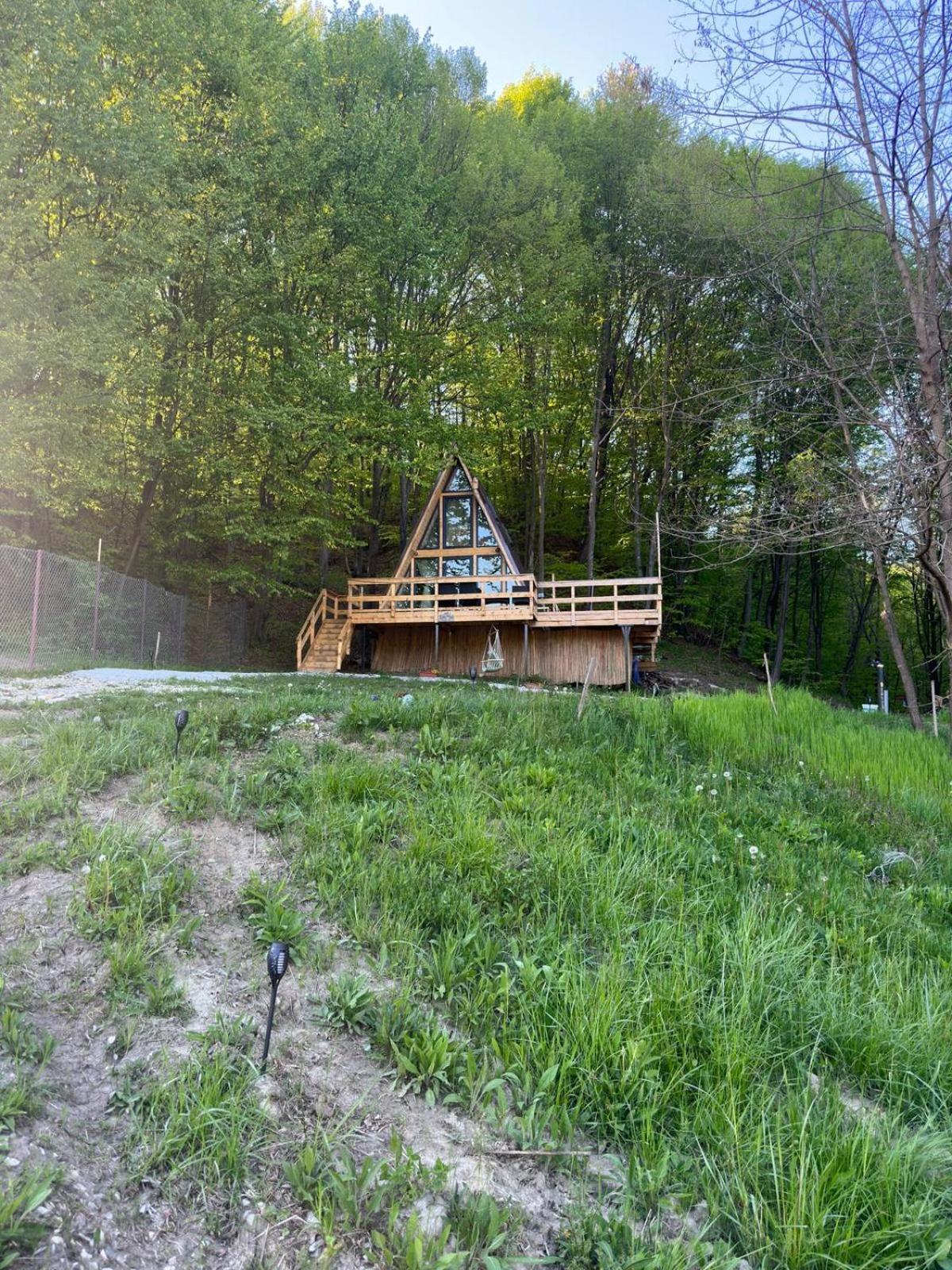 Cabanaaframe Intreaga Proprietate Curtea de Argeş Dış mekan fotoğraf